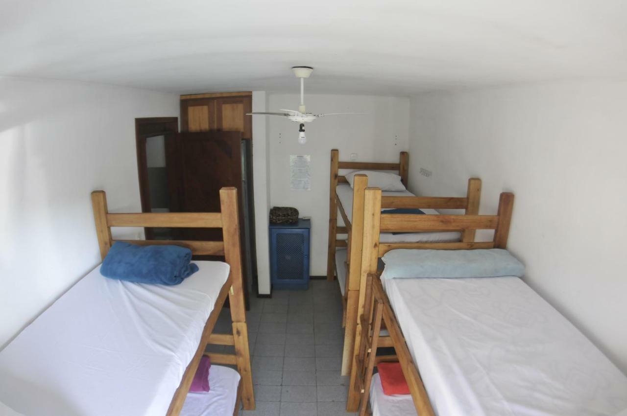 Gokai Hostel Florianópolis Extérieur photo